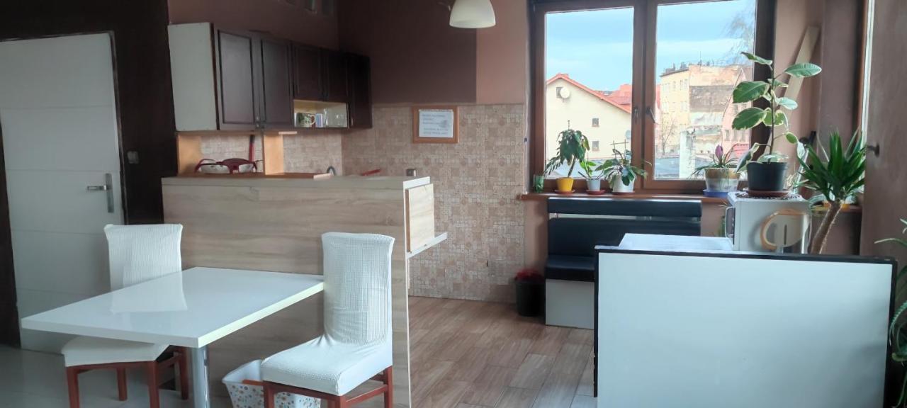 Noclegi Centrum Jelenia Góra Kültér fotó