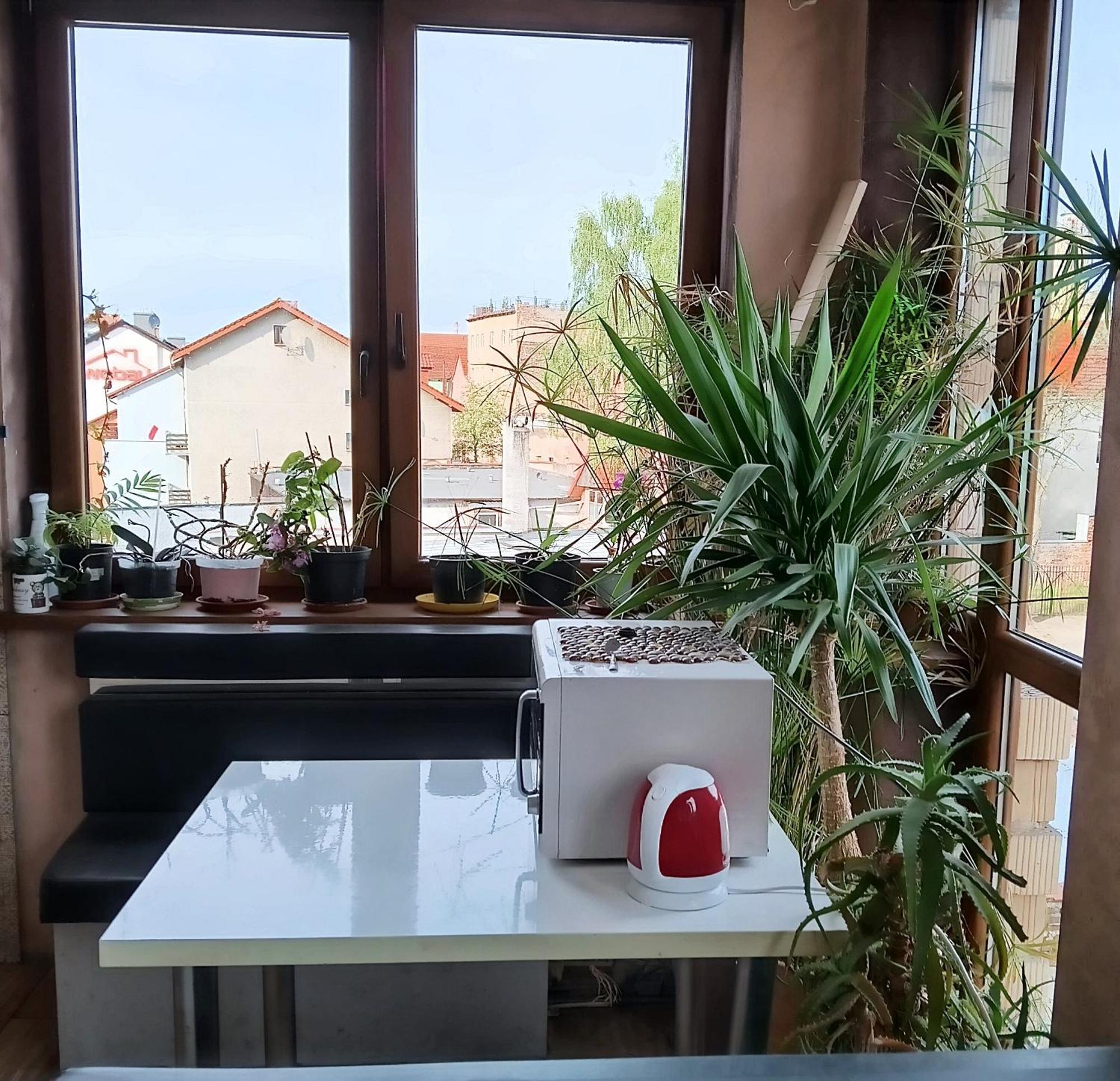 Noclegi Centrum Jelenia Góra Kültér fotó